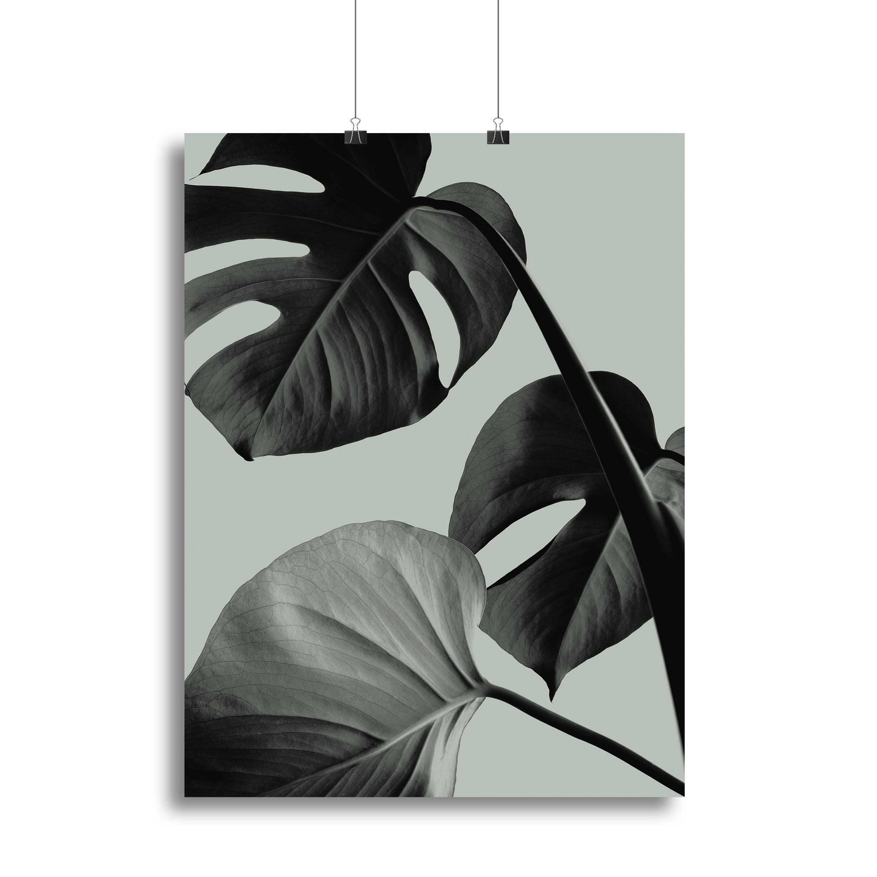 Monstera Teal 07 Canvas Print or Poster - Canvas Art Rocks - 2
