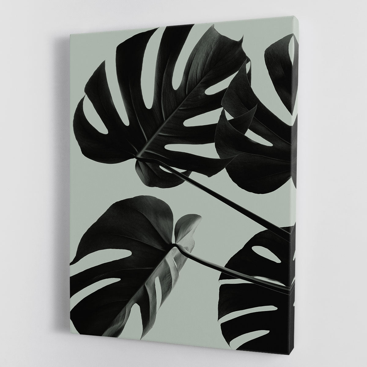 Monstera Teal 08 Canvas Print or Poster - Canvas Art Rocks - 1