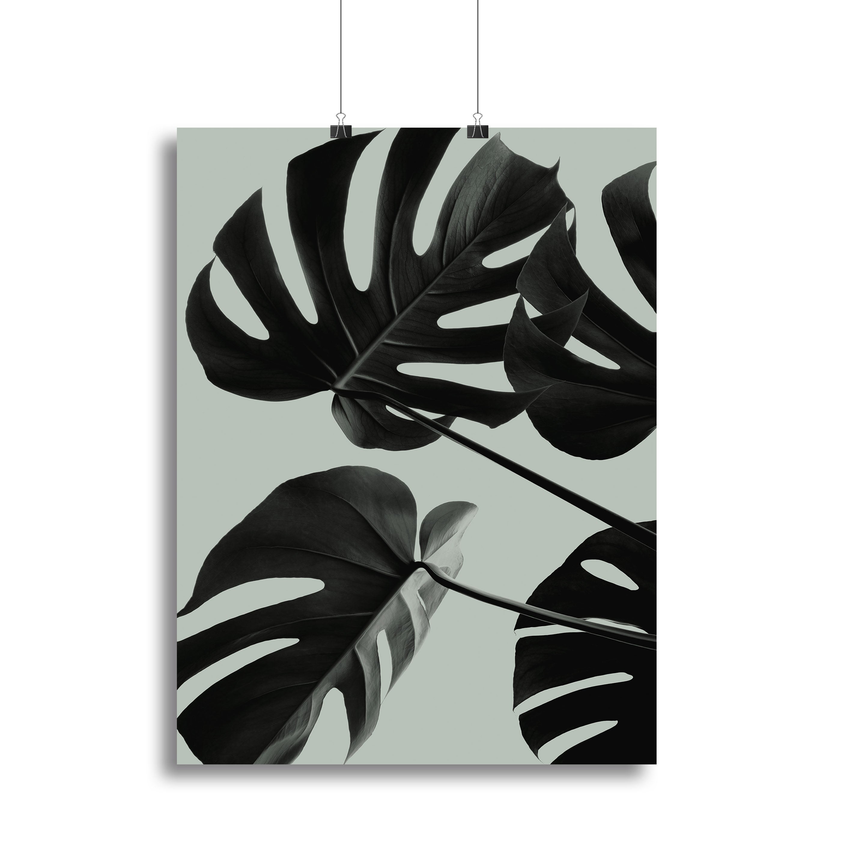 Monstera Teal 08 Canvas Print or Poster - Canvas Art Rocks - 2