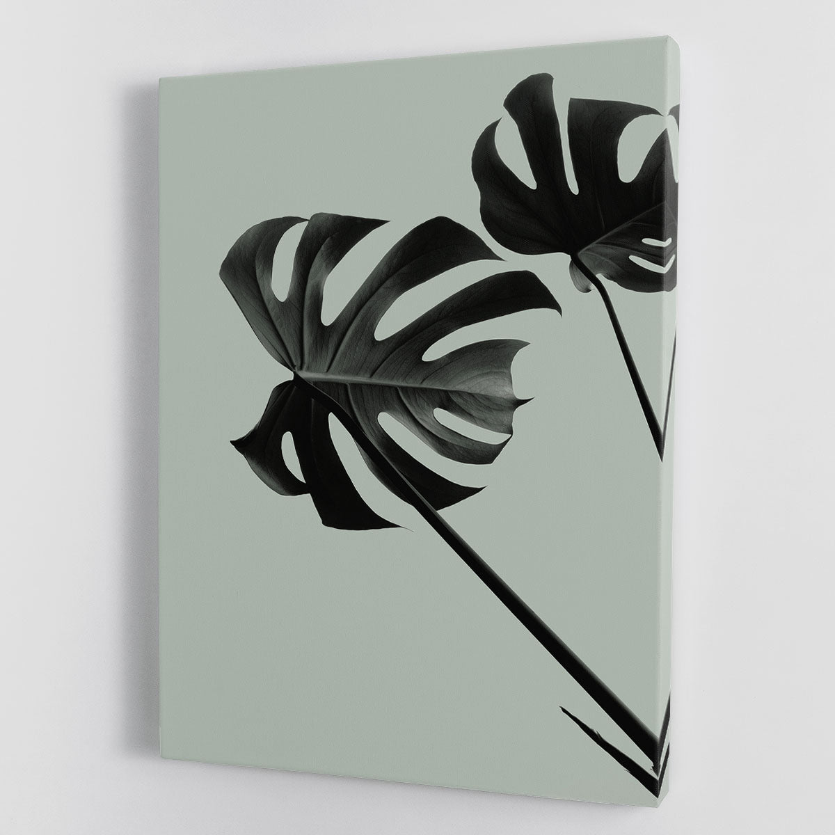 Monstera Teal 09 Canvas Print or Poster - Canvas Art Rocks - 1