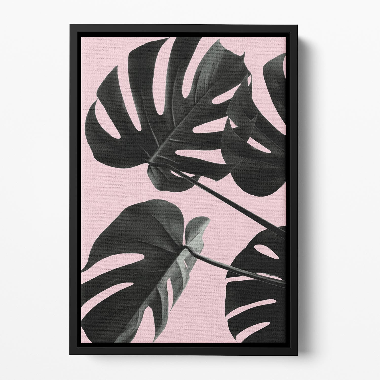 Monstera Pink No 01 Floating Framed Canvas - Canvas Art Rocks - 2