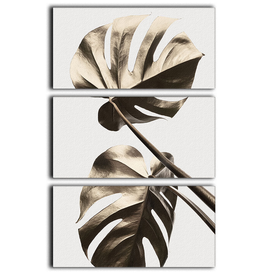 Monstera Gold 08 3 Split Panel Canvas Print - Canvas Art Rocks - 1