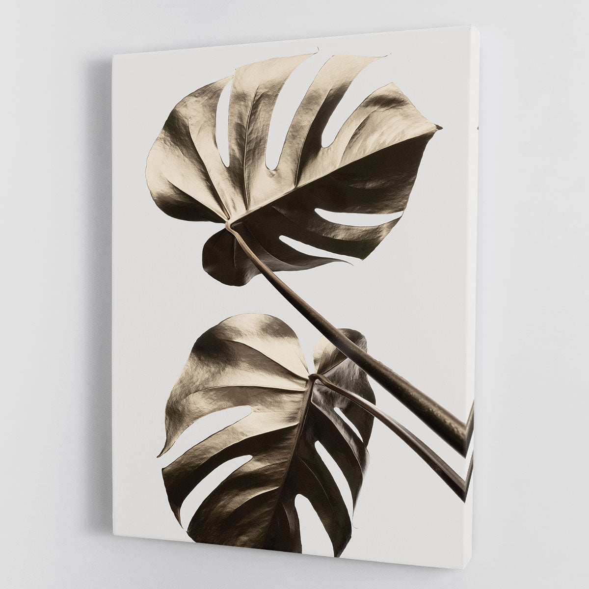 Monstera Gold 08 Canvas Print or Poster - Canvas Art Rocks - 1