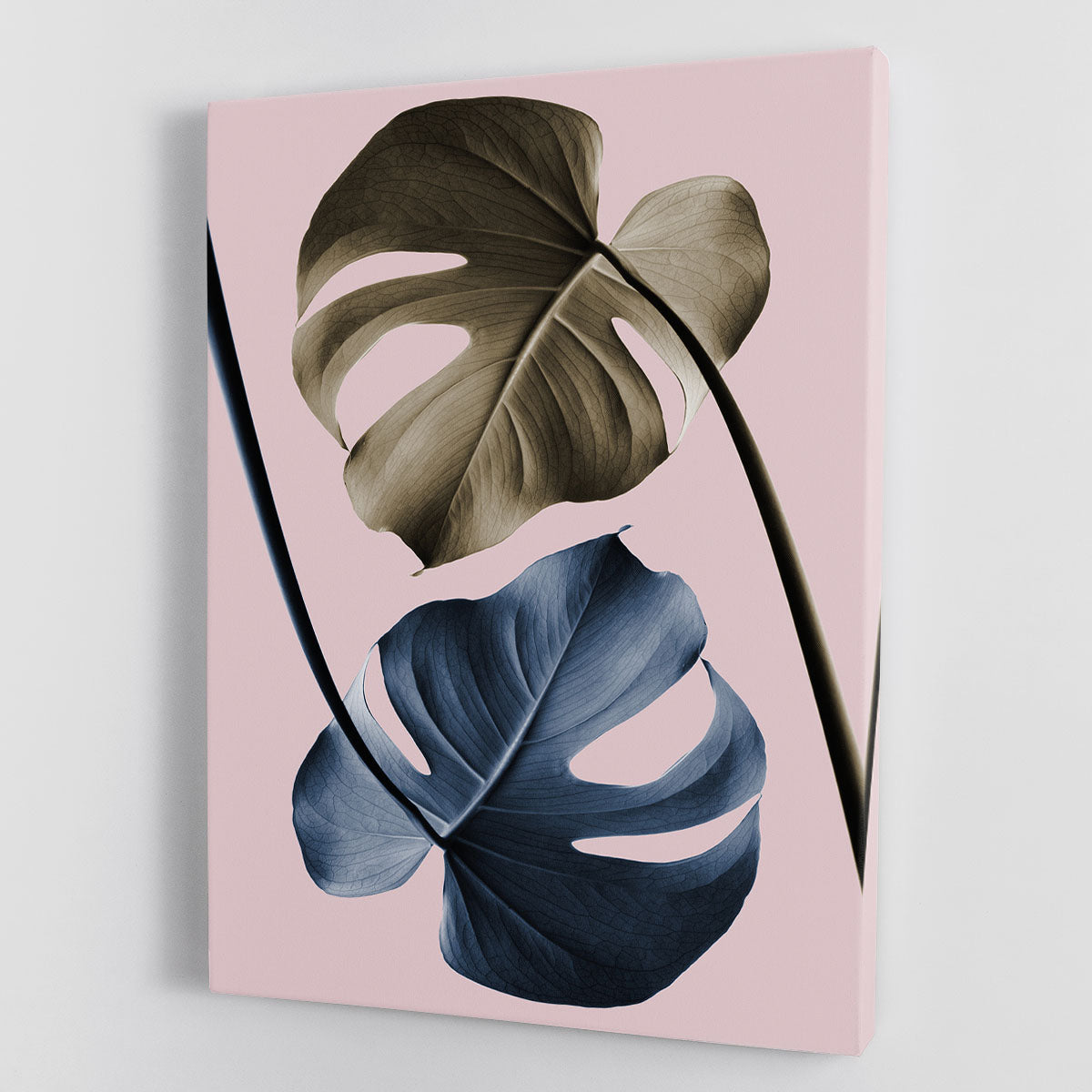 Monstera Pink Light 02 Canvas Print or Poster - Canvas Art Rocks - 1