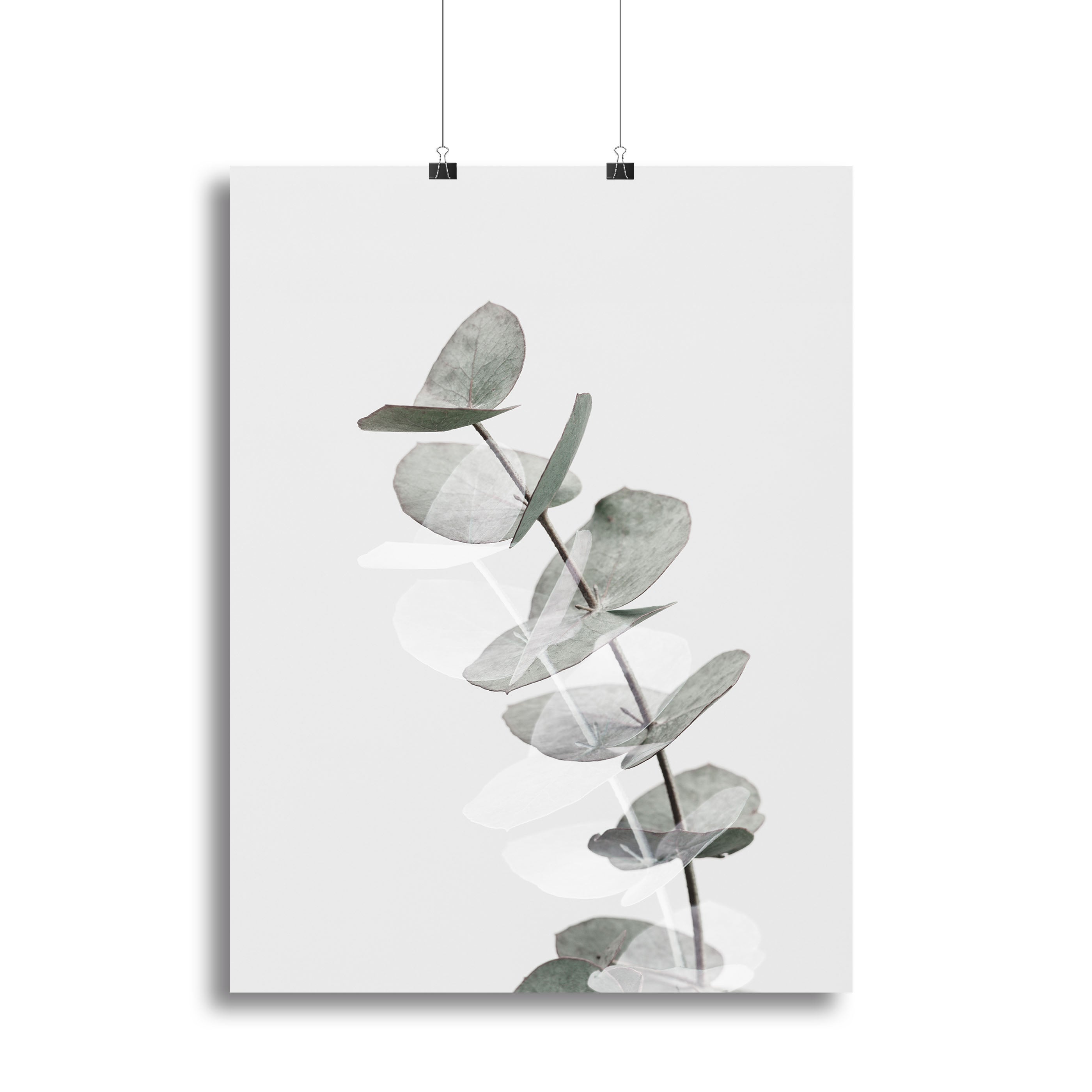 Eucalyptus Creative 05 Canvas Print or Poster - Canvas Art Rocks - 2
