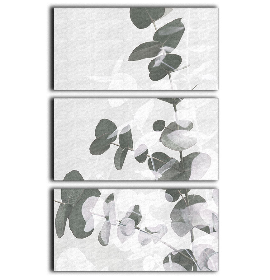 Eucalyptus Creative 09 3 Split Panel Canvas Print - Canvas Art Rocks - 1