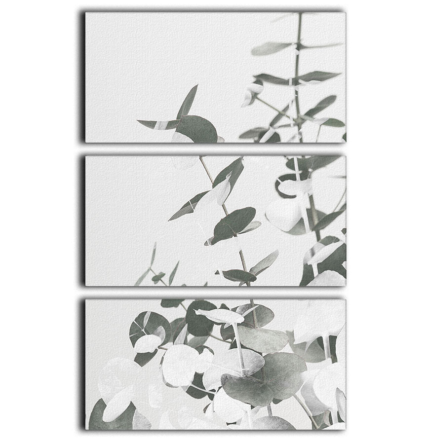 Eucalyptus Creative 10 3 Split Panel Canvas Print - Canvas Art Rocks - 1