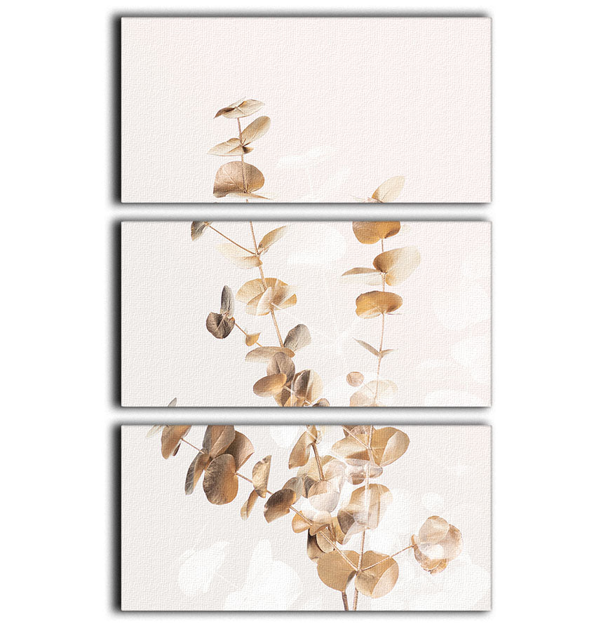 Eucalyptus Creative Gold 03 3 Split Panel Canvas Print - Canvas Art Rocks - 1