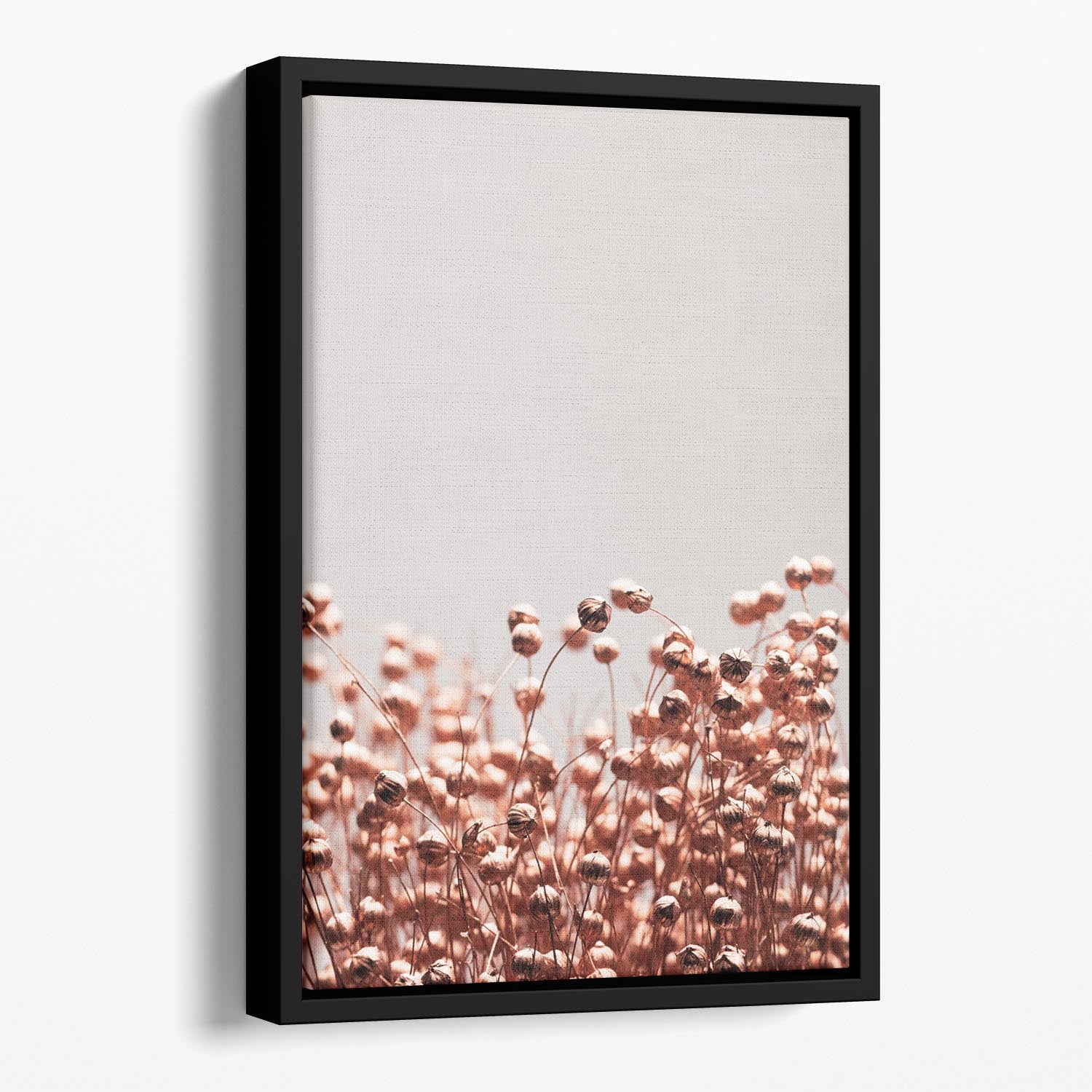 Dried Grass Copper 04 Floating Framed Canvas - Canvas Art Rocks - 1