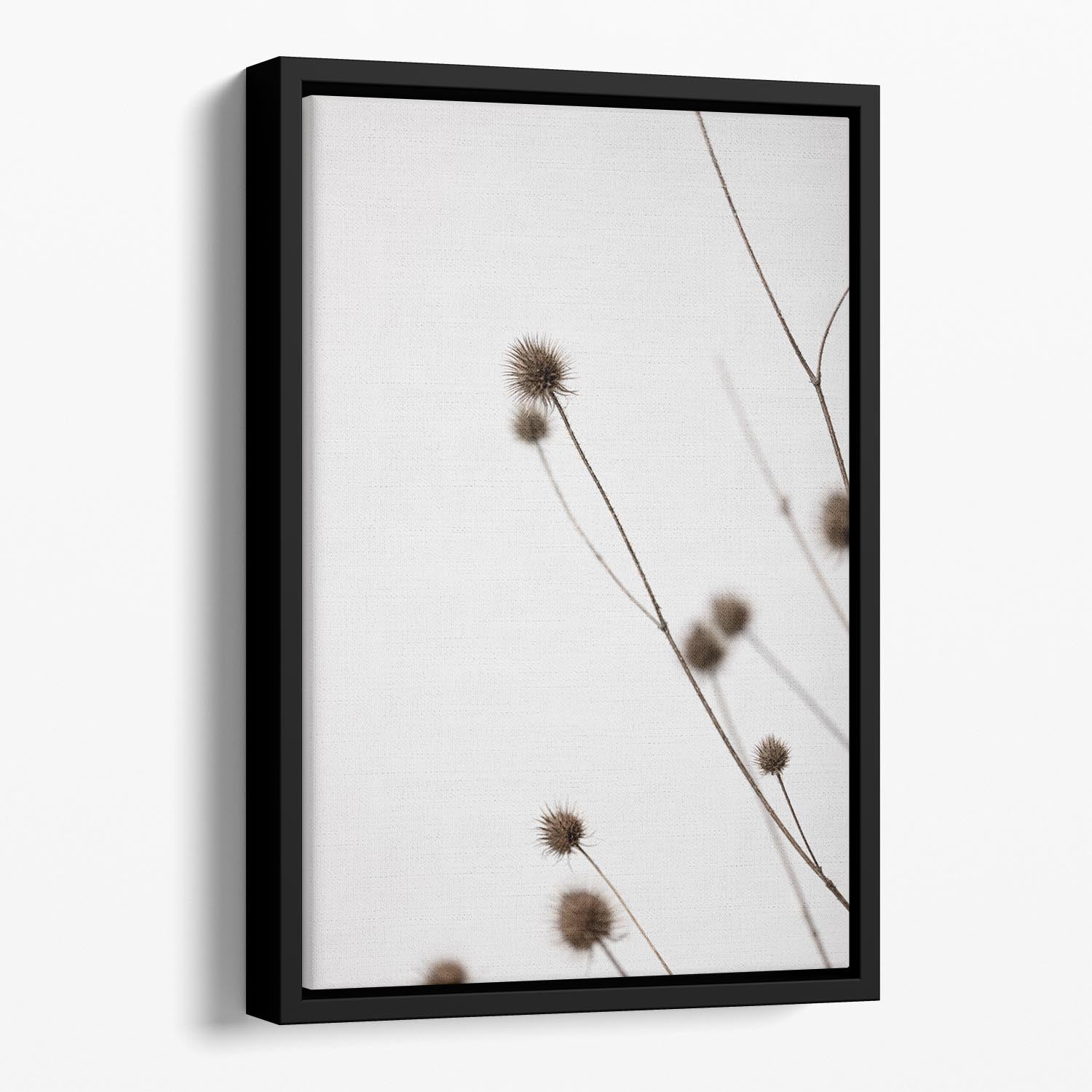 Thistle Grey 03 Floating Framed Canvas - Canvas Art Rocks - 1