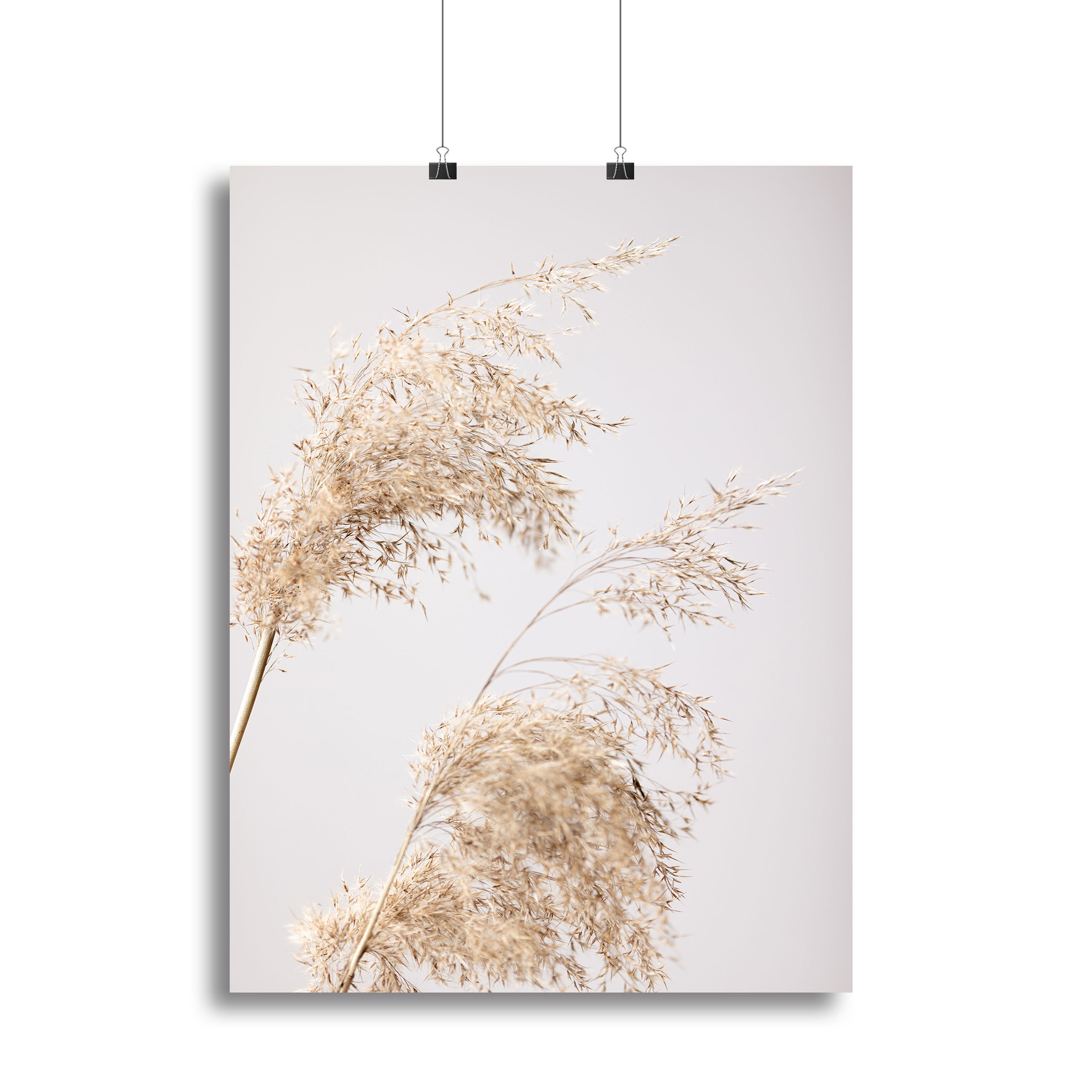 Reed Grass Grey 06 Canvas Print or Poster - Canvas Art Rocks - 2