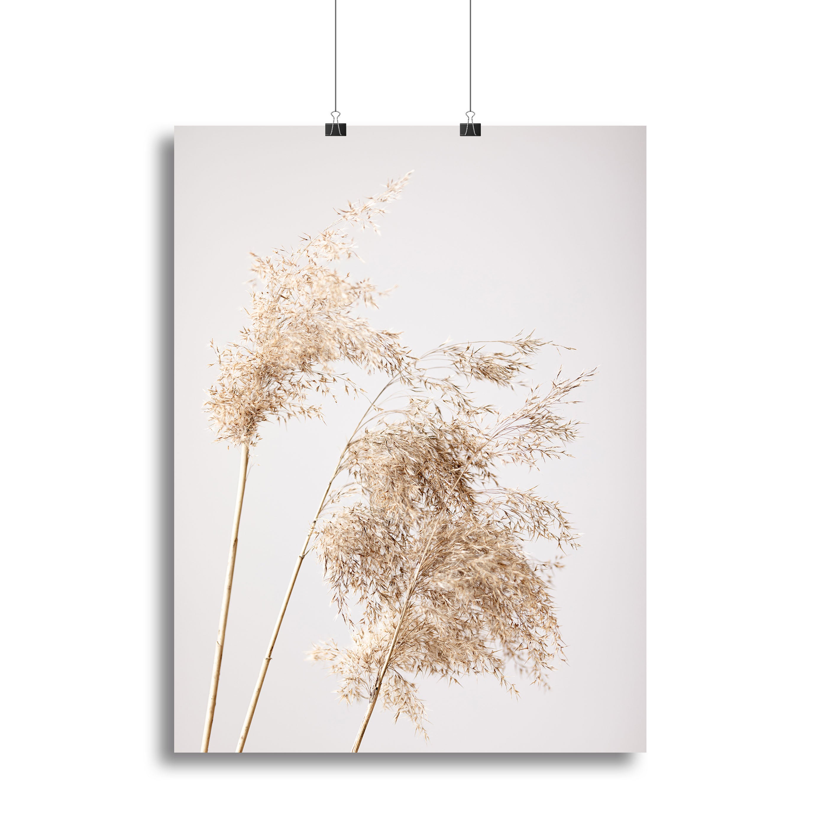 Reed Grass Grey 07 Canvas Print or Poster - Canvas Art Rocks - 2
