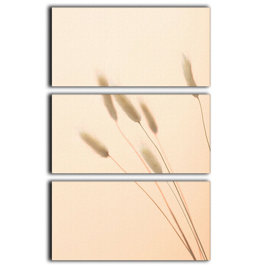 Bunny Grass Peach 03 3 Split Panel Canvas Print - Canvas Art Rocks - 1