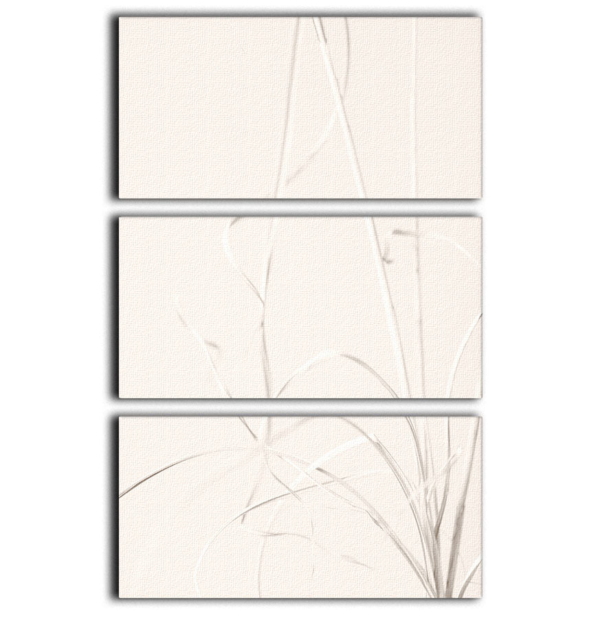 Dried Grass Light Beige 3 Split Panel Canvas Print - Canvas Art Rocks - 1