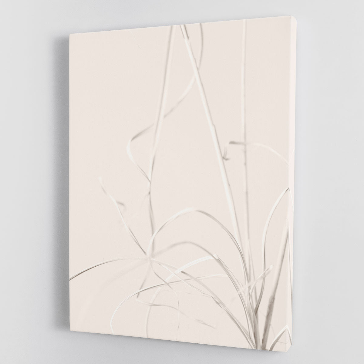 Dried Grass Light Beige Canvas Print or Poster - Canvas Art Rocks - 1