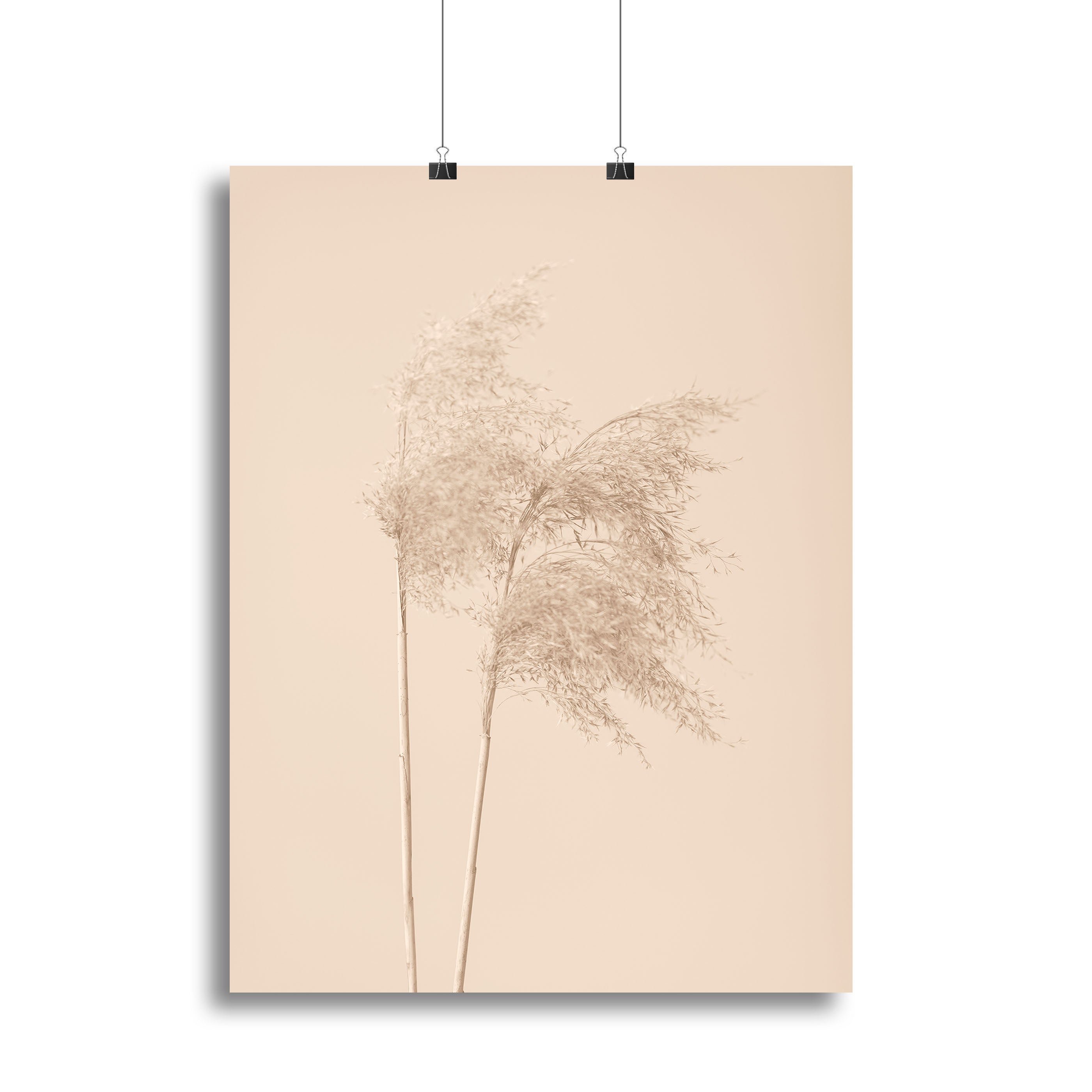 Reed Grass Beige 02 Canvas Print or Poster - Canvas Art Rocks - 2