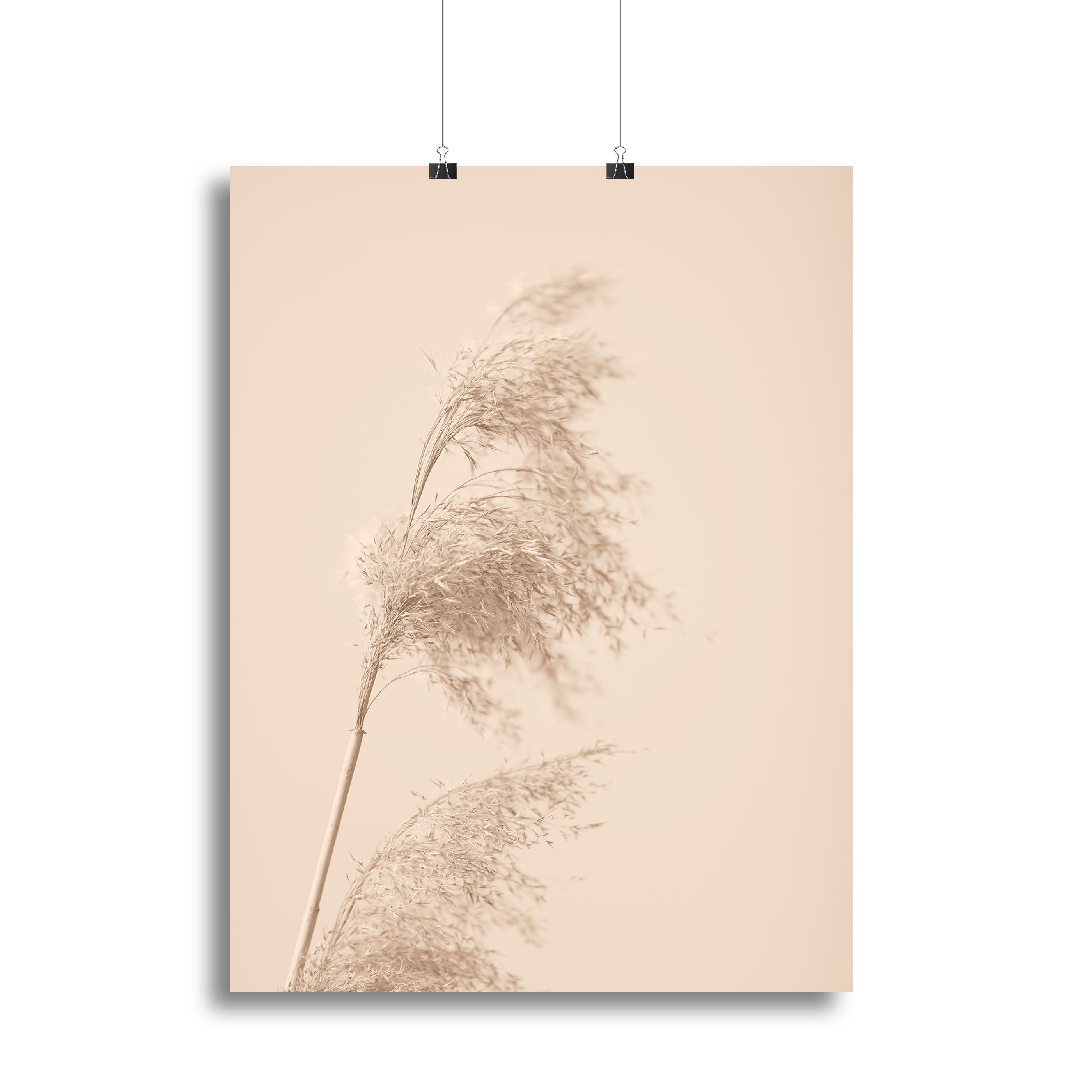 Reed Grass Beige 03 Canvas Print or Poster - Canvas Art Rocks - 2
