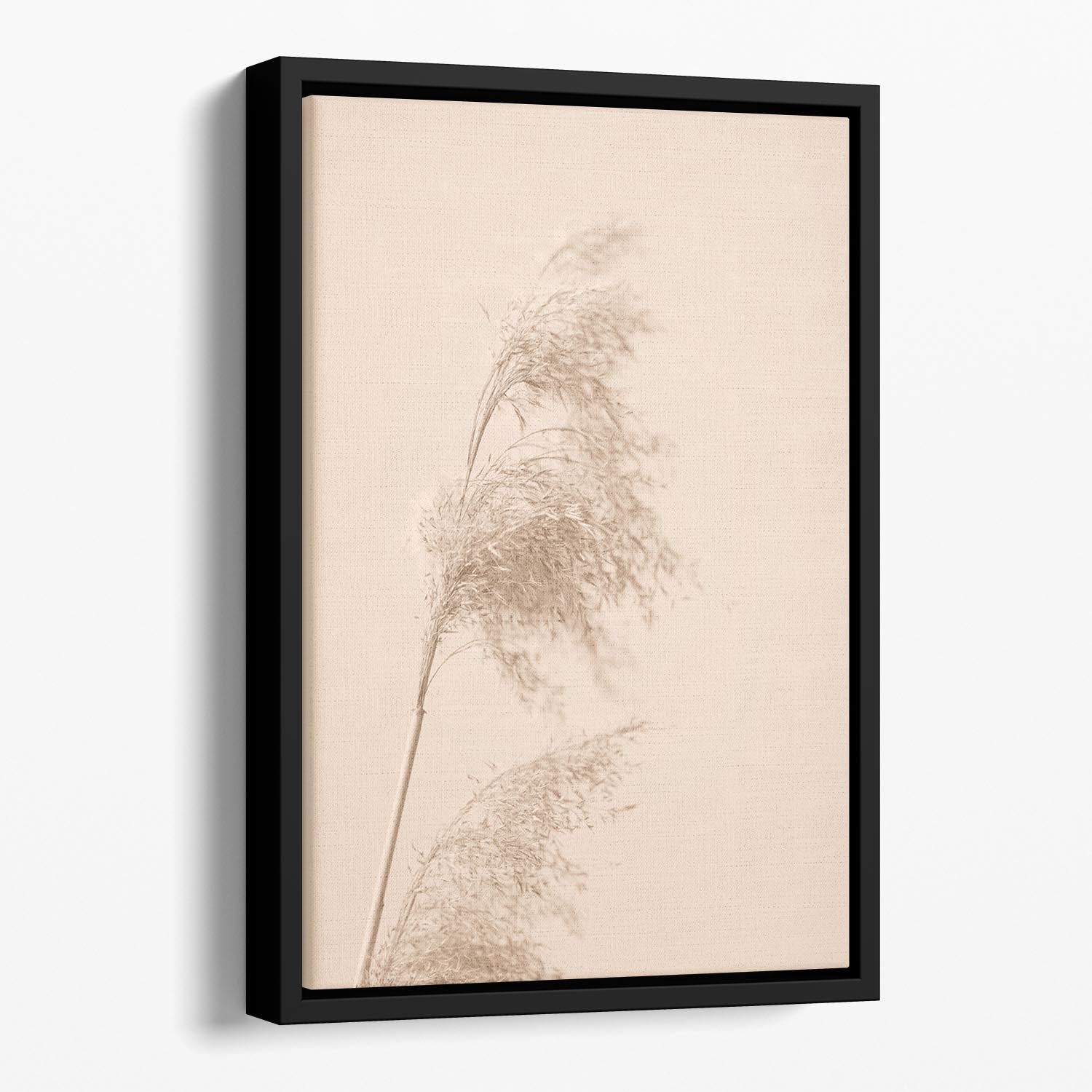 Reed Grass Beige 03 Floating Framed Canvas - Canvas Art Rocks - 1