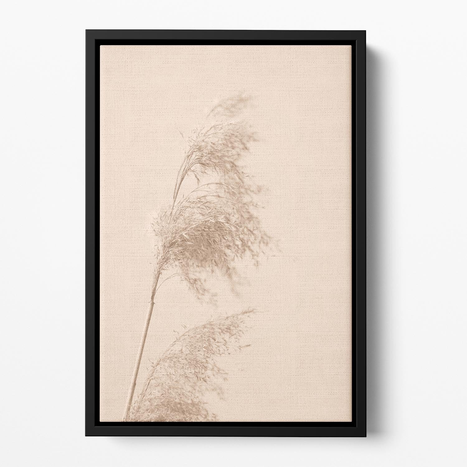 Reed Grass Beige 03 Floating Framed Canvas - Canvas Art Rocks - 2
