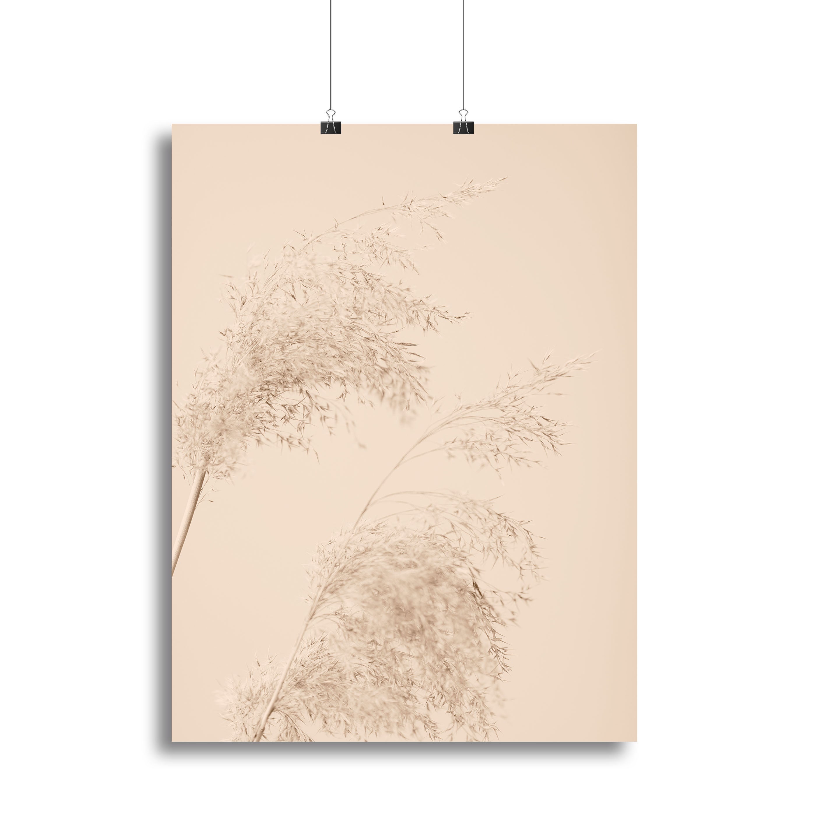 Reed Grass Beige 06 Canvas Print or Poster - Canvas Art Rocks - 2