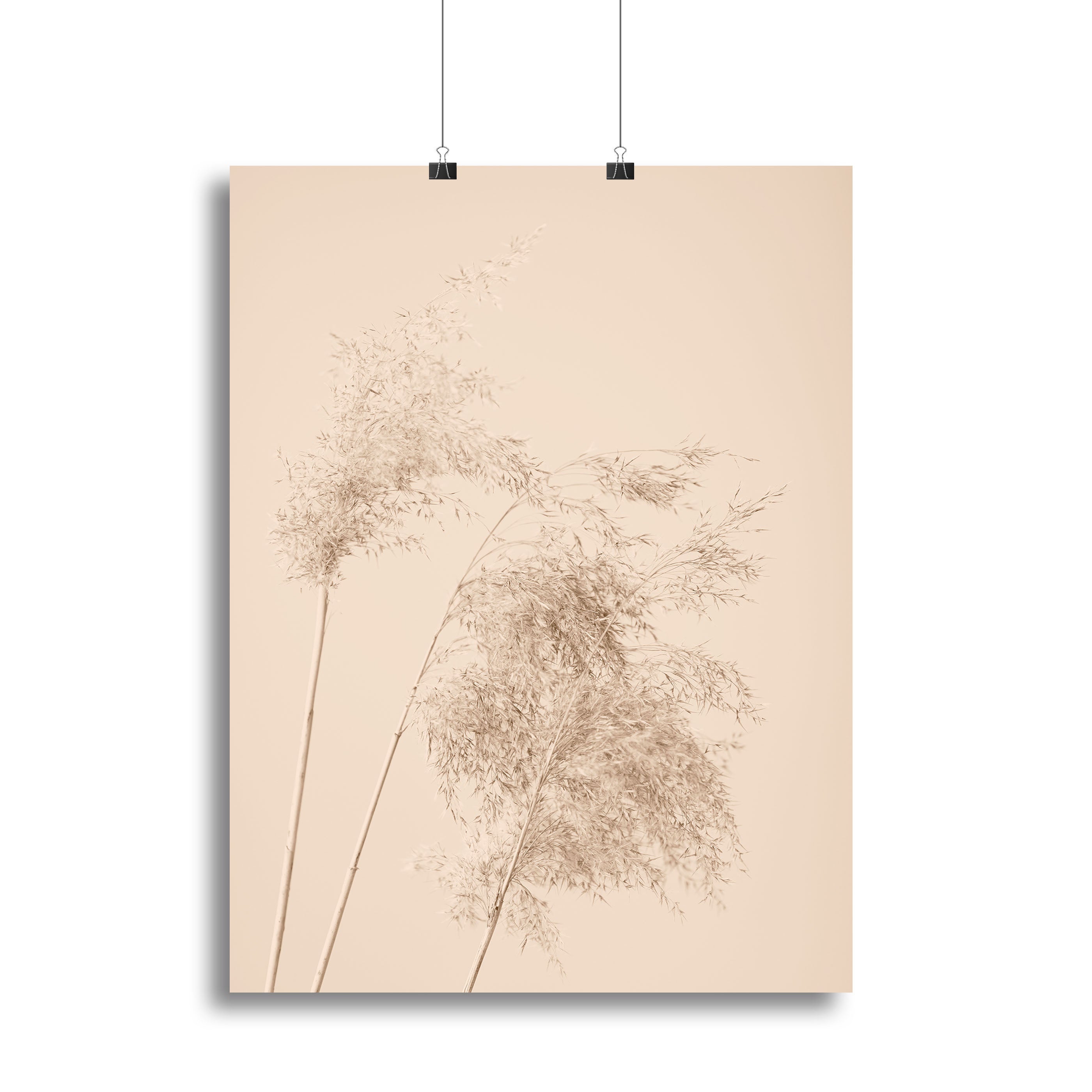 Reed Grass Beige 07 Canvas Print or Poster - Canvas Art Rocks - 2