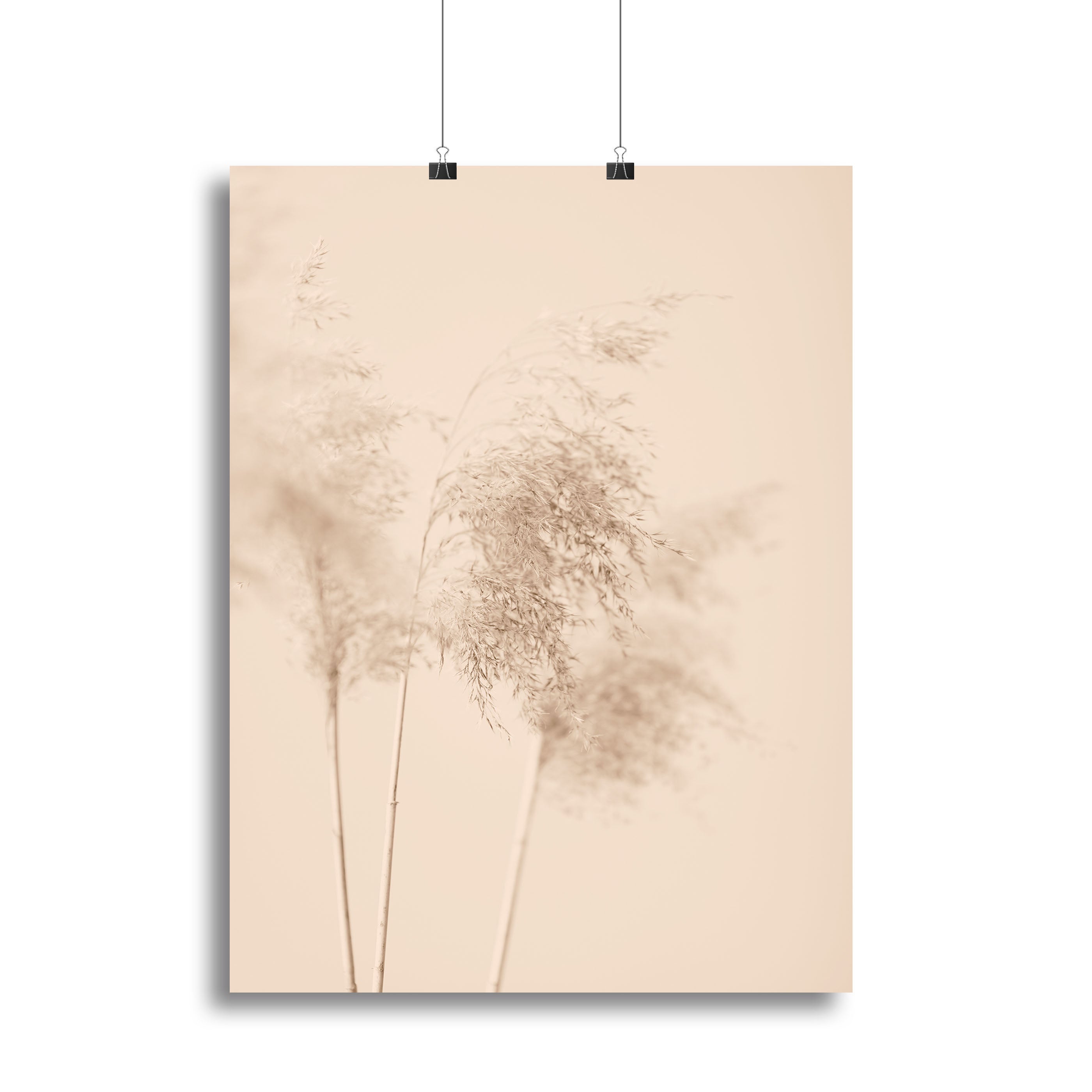 Reed Grass Beige 09 Canvas Print or Poster - Canvas Art Rocks - 2