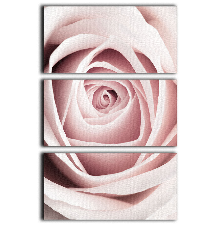 Pink Rose No 1 3 Split Panel Canvas Print - Canvas Art Rocks - 1