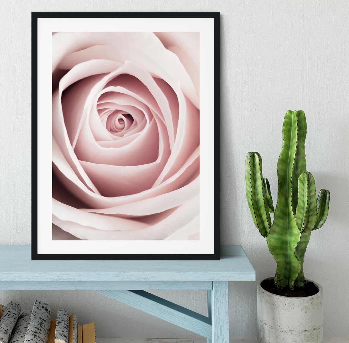 Pink Rose No 1 Framed Print - Canvas Art Rocks - 1