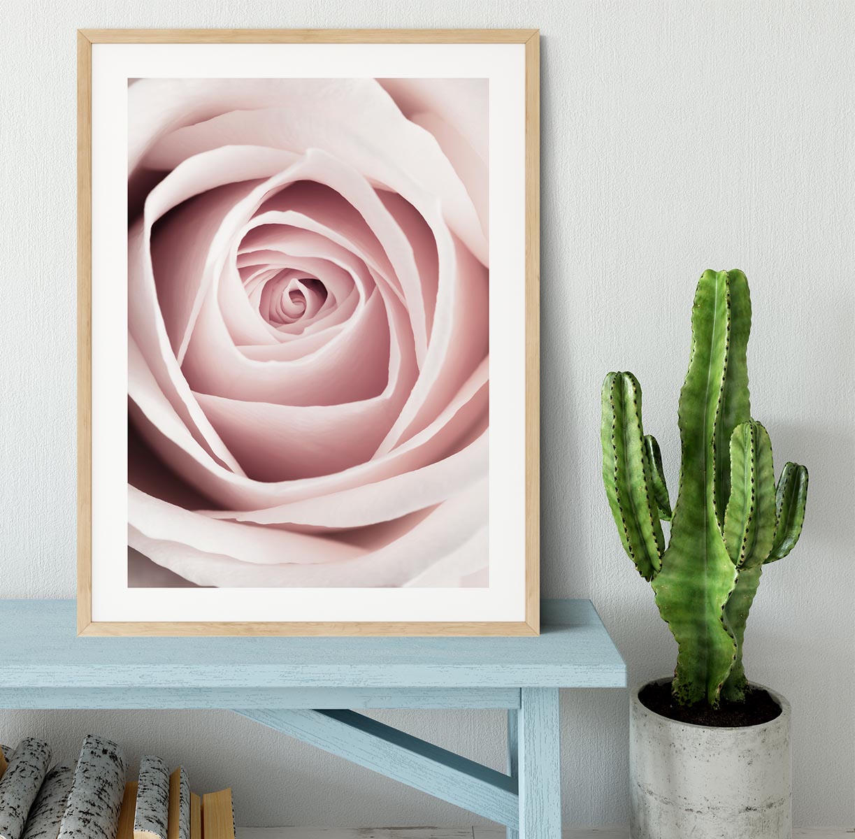 Pink Rose No 1 Framed Print - Canvas Art Rocks - 3