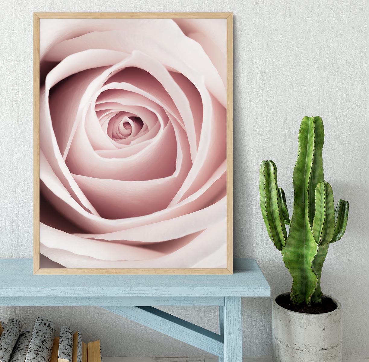 Pink Rose No 1 Framed Print - Canvas Art Rocks - 4