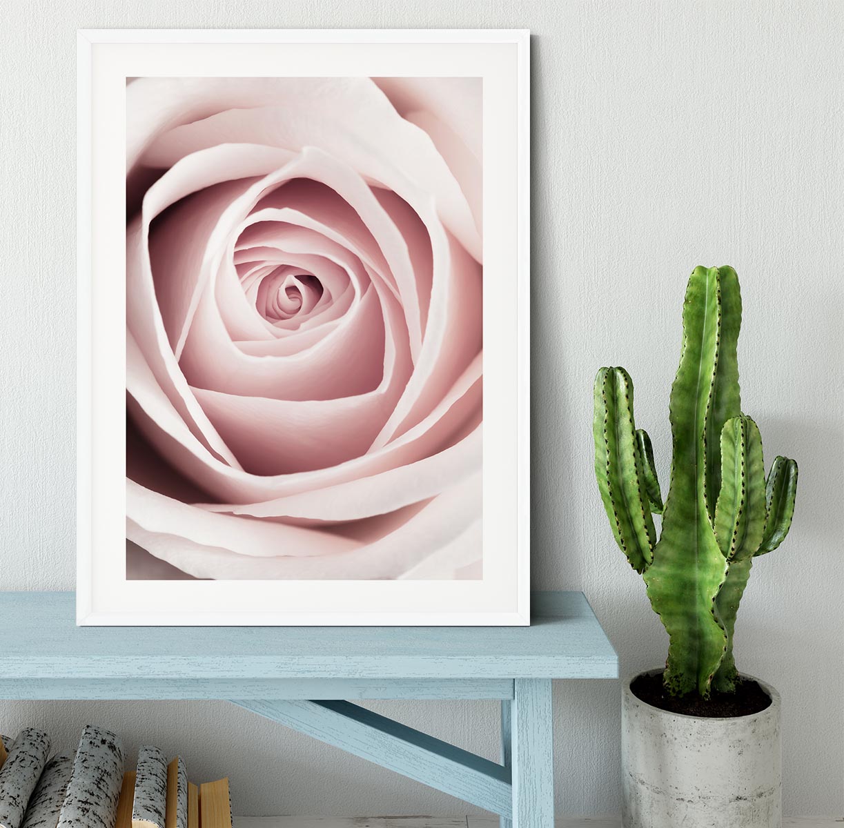 Pink Rose No 1 Framed Print - Canvas Art Rocks - 5