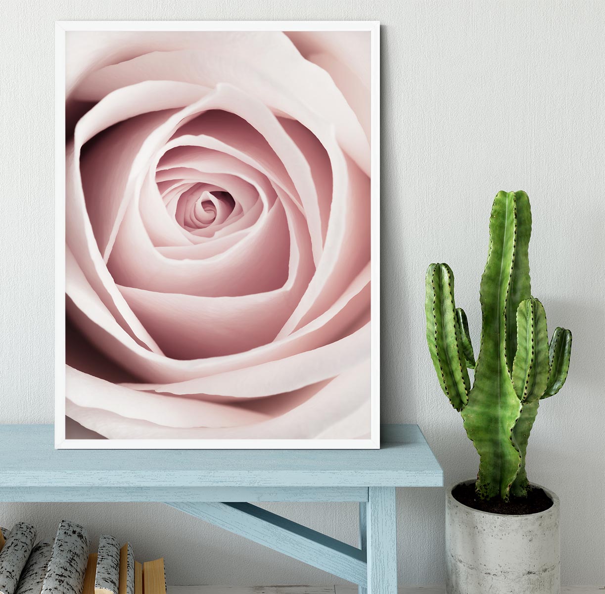 Pink Rose No 1 Framed Print - Canvas Art Rocks -6