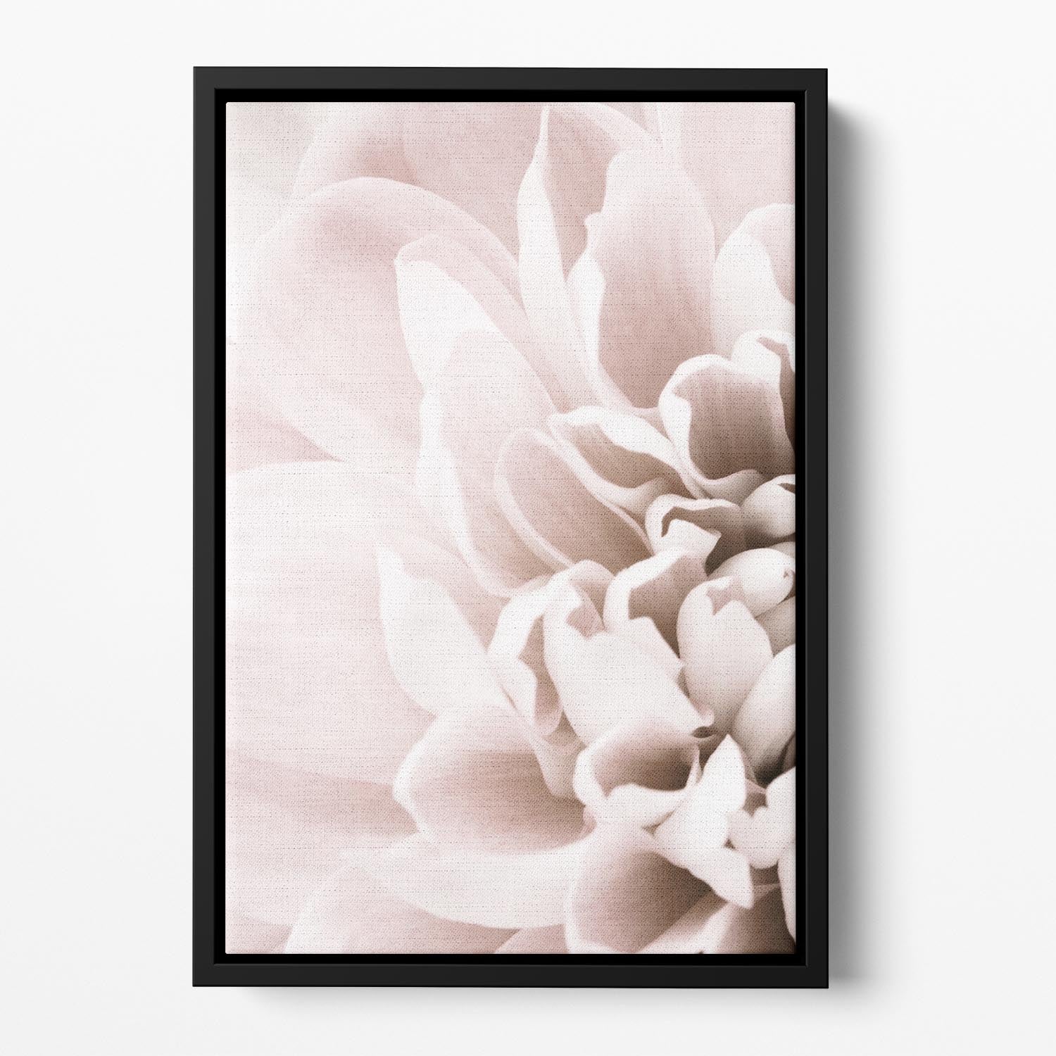Chrysanthemum No 02 Floating Framed Canvas - Canvas Art Rocks - 2