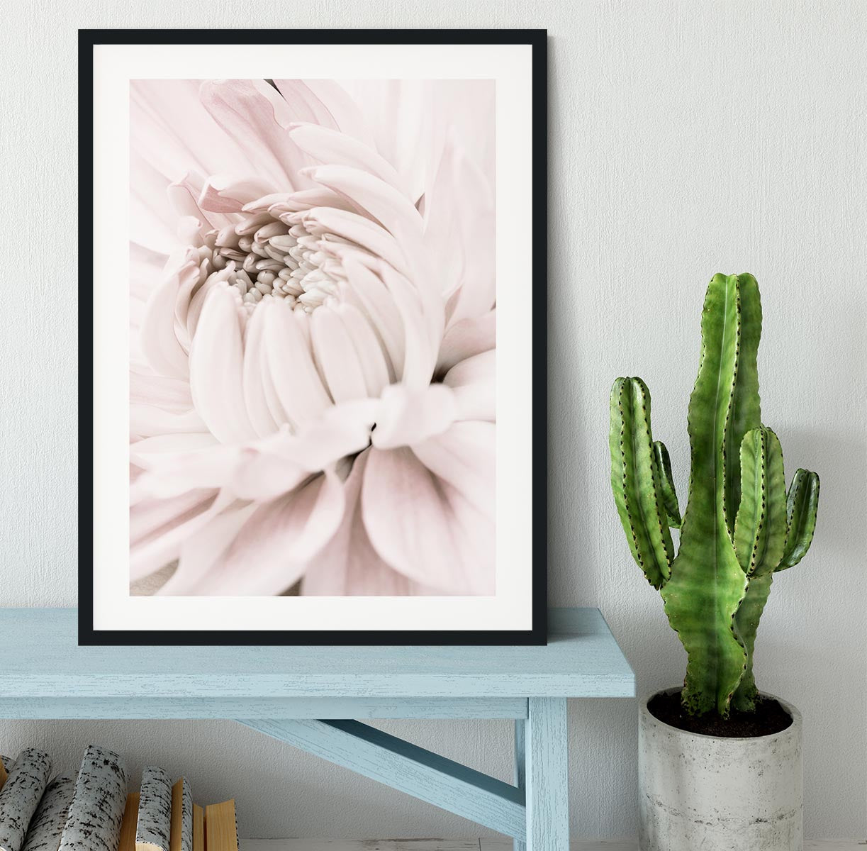 Chrysanthemum No 05 Framed Print - Canvas Art Rocks - 1