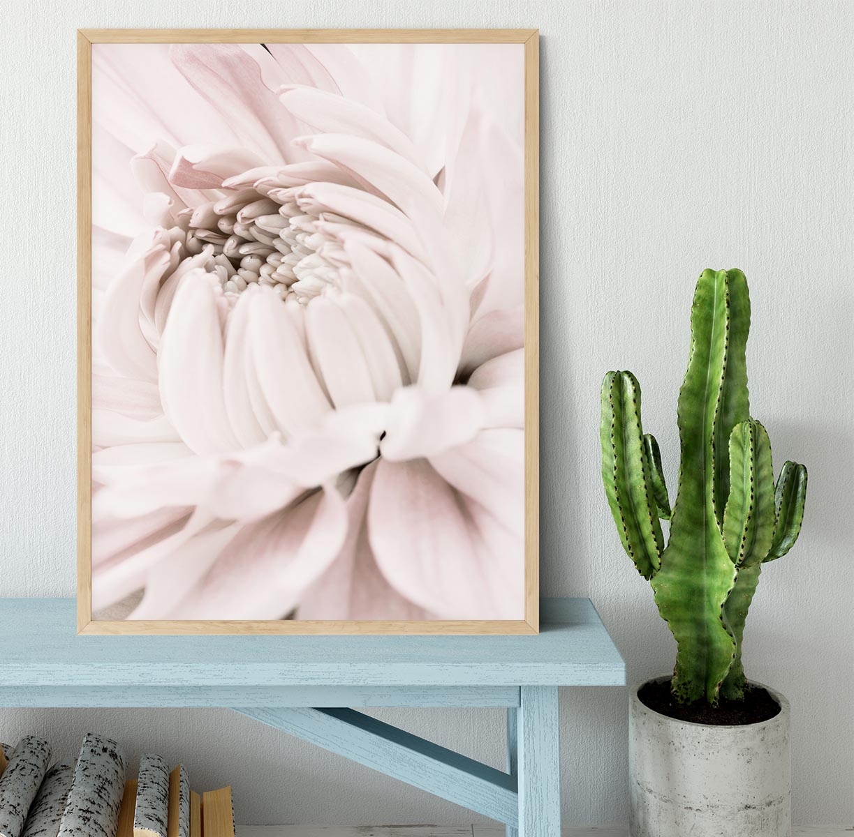 Chrysanthemum No 05 Framed Print - Canvas Art Rocks - 4