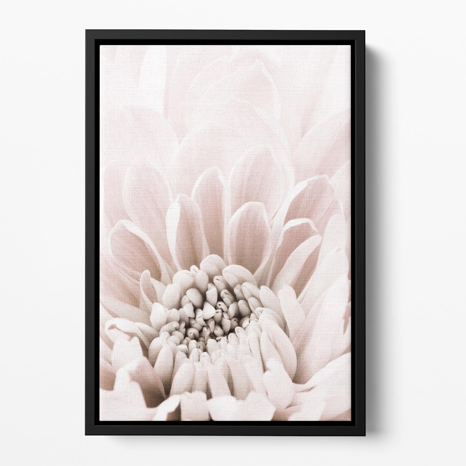Chrysanthemum No 06 Floating Framed Canvas - Canvas Art Rocks - 2