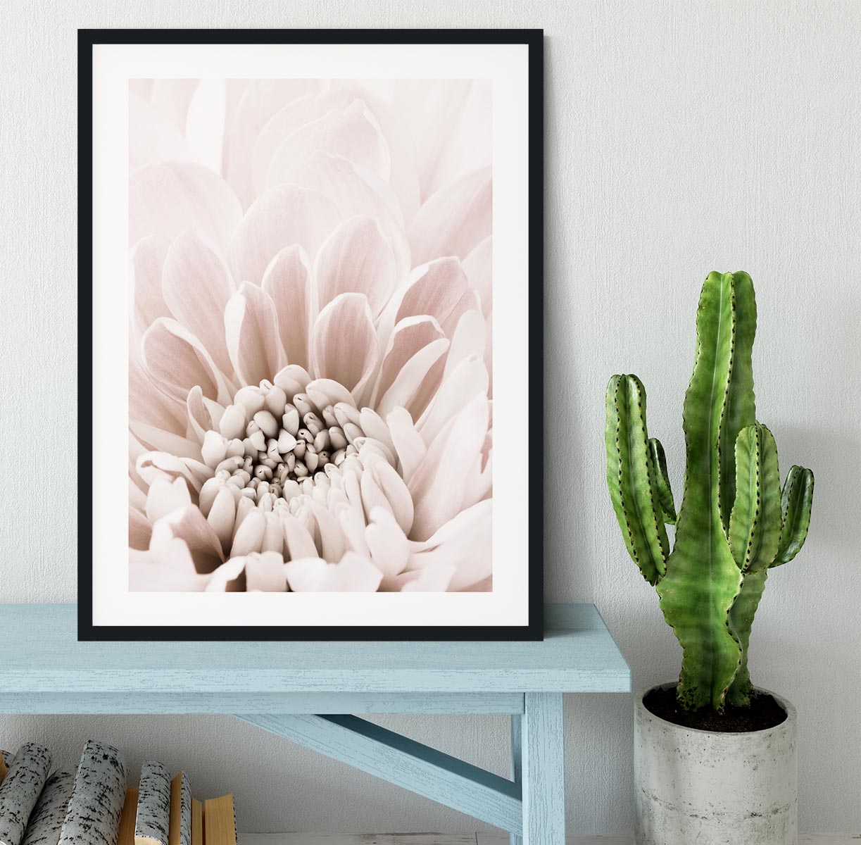 Chrysanthemum No 06 Framed Print - Canvas Art Rocks - 1