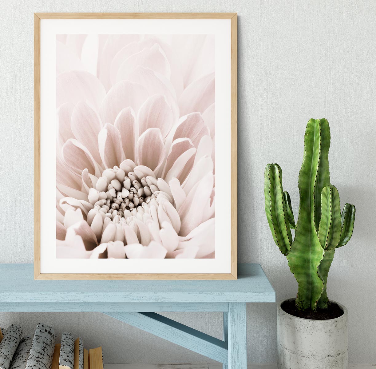 Chrysanthemum No 06 Framed Print - Canvas Art Rocks - 3