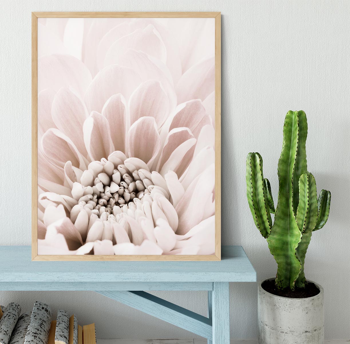 Chrysanthemum No 06 Framed Print - Canvas Art Rocks - 4