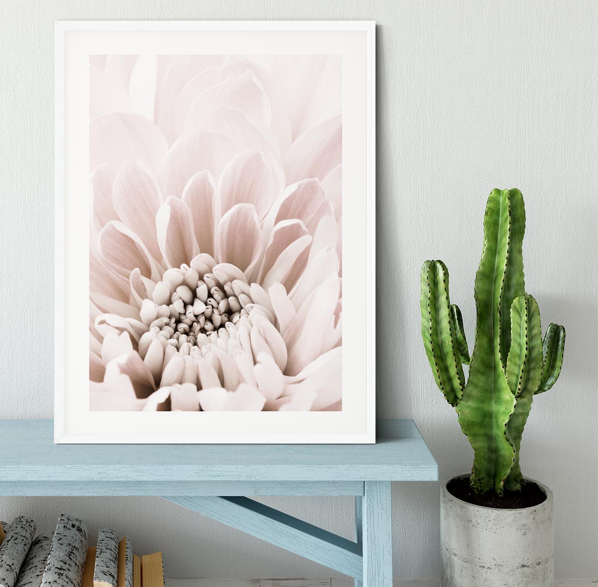 Chrysanthemum No 06 Framed Print - Canvas Art Rocks - 5