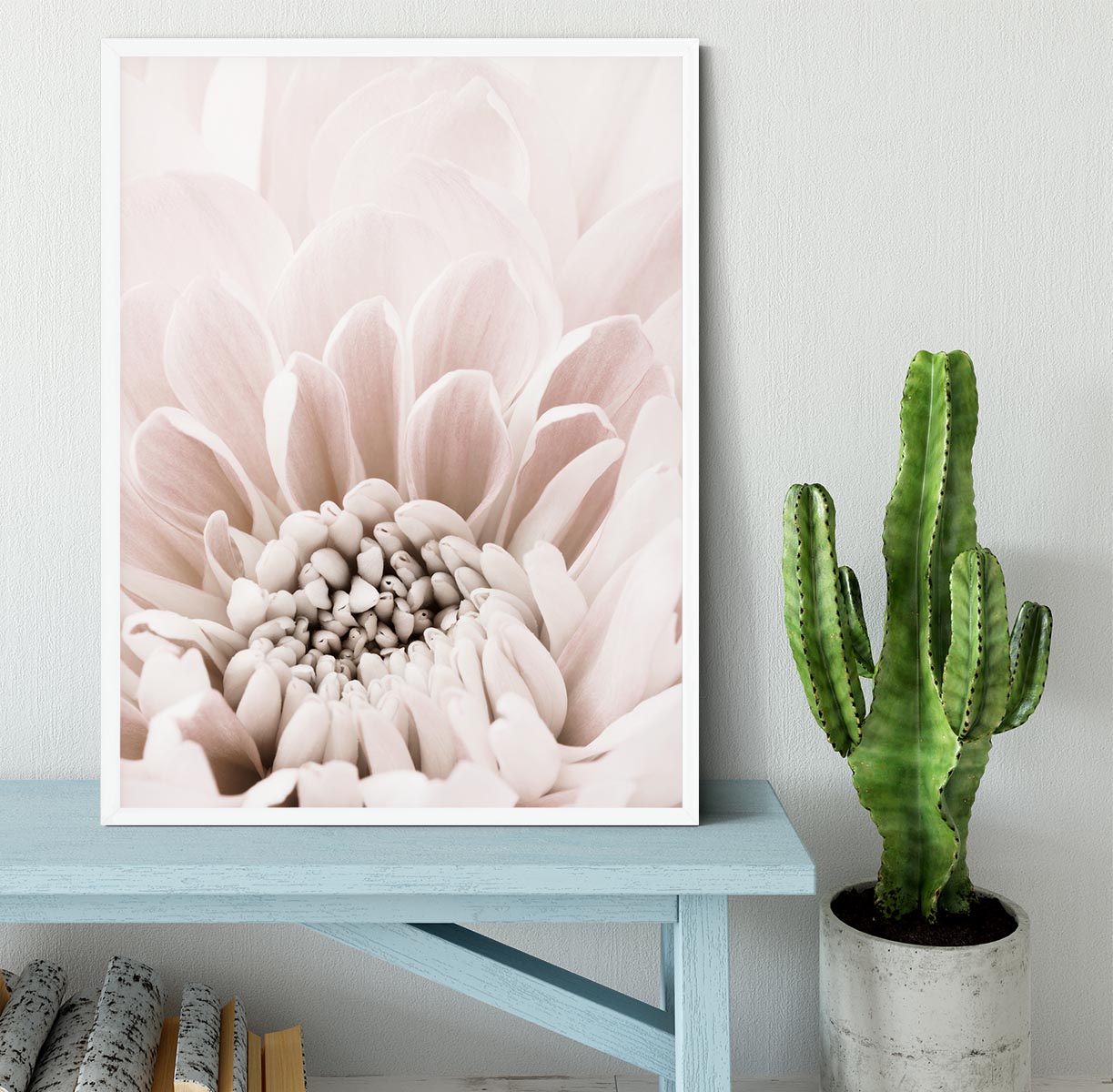 Chrysanthemum No 06 Framed Print - Canvas Art Rocks -6