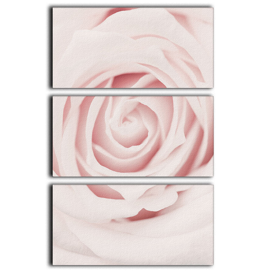 Pink Rose No 02 3 Split Panel Canvas Print - Canvas Art Rocks - 1