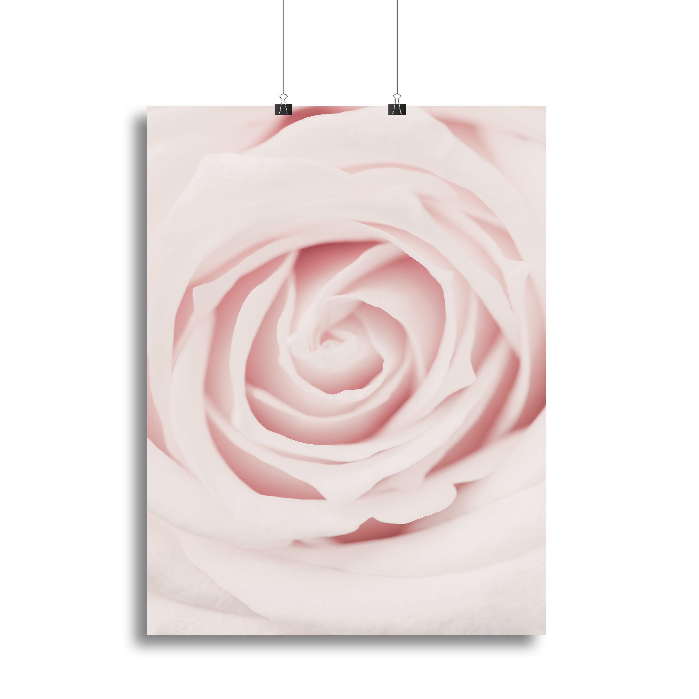 Pink Rose No 02 Canvas Print or Poster - Canvas Art Rocks - 2