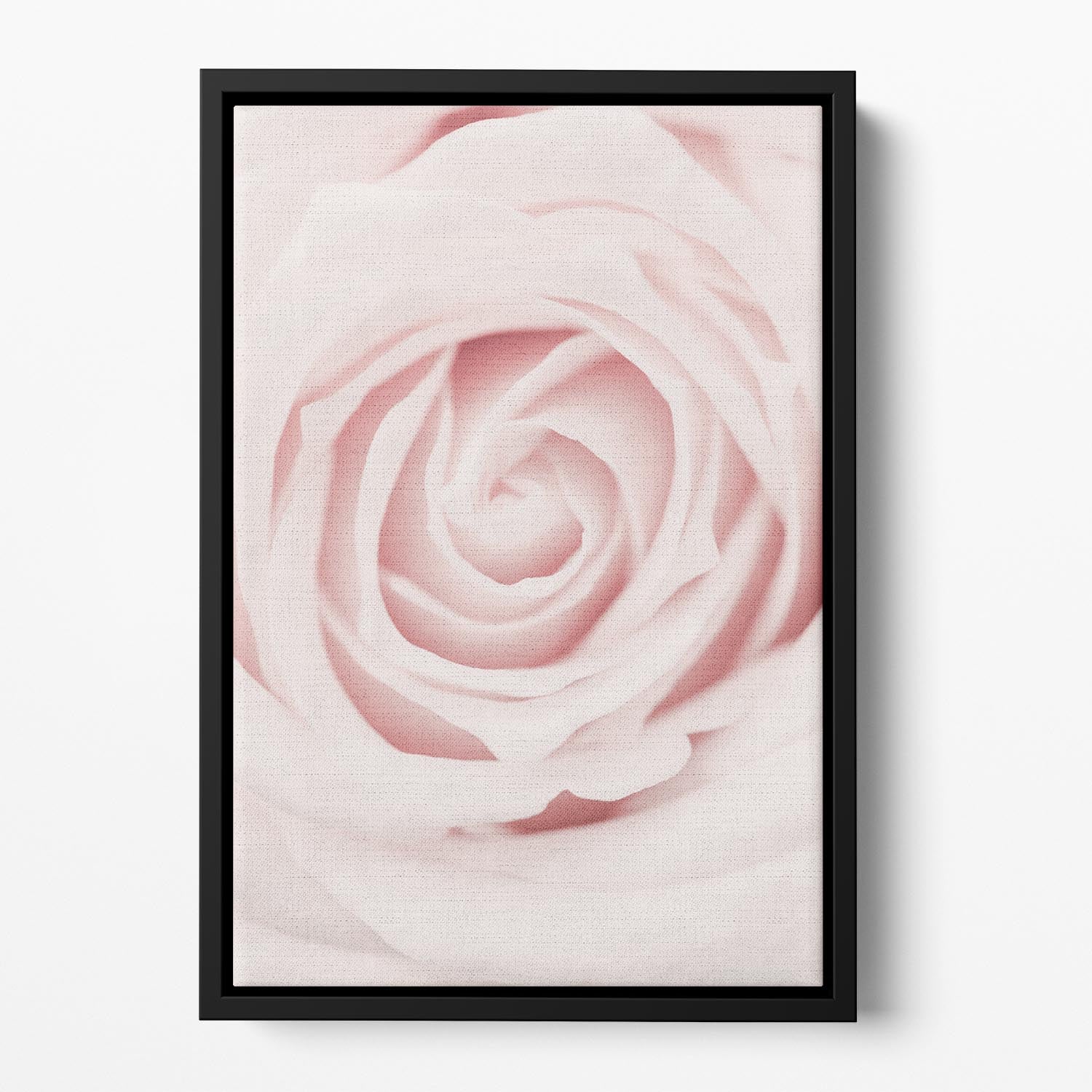 Pink Rose No 02 Floating Framed Canvas - Canvas Art Rocks - 2