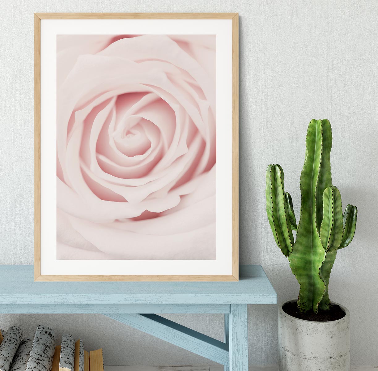 Pink Rose No 02 Framed Print - Canvas Art Rocks - 3