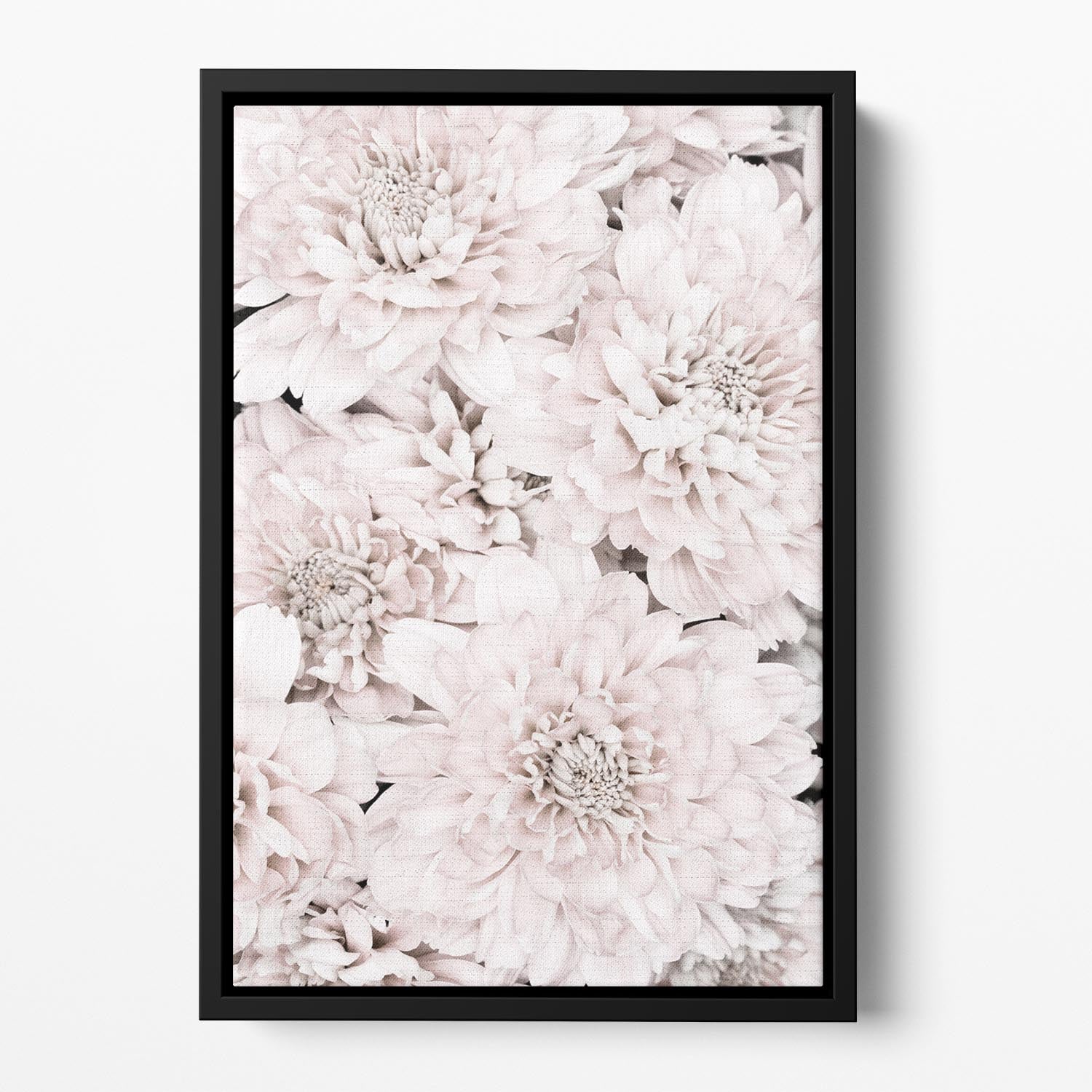 Chrysanthemum No 07 Floating Framed Canvas - Canvas Art Rocks - 2