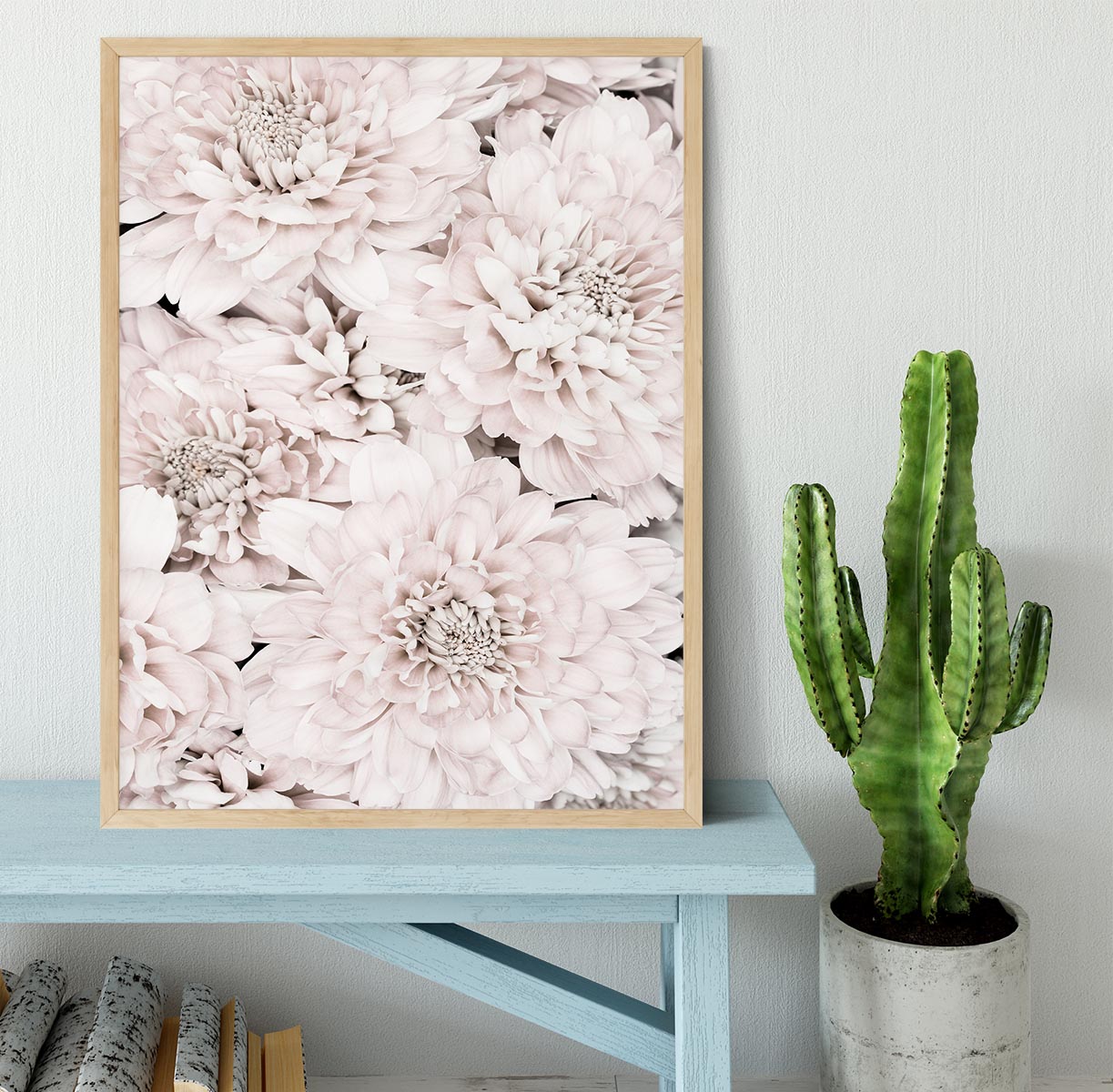 Chrysanthemum No 07 Framed Print - Canvas Art Rocks - 4