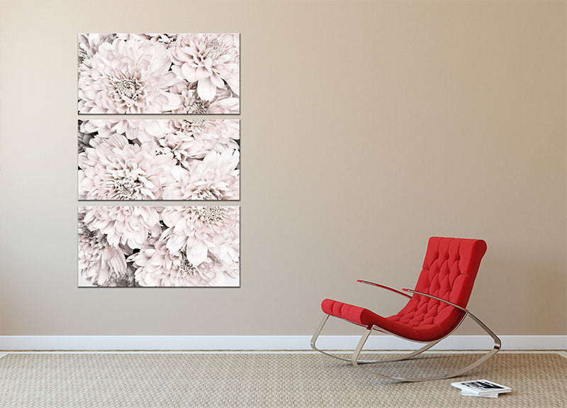 Chrysanthemum No 09 3 Split Panel Canvas Print - Canvas Art Rocks - 2