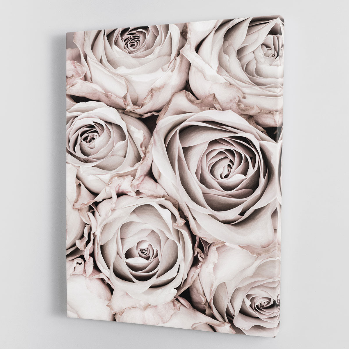 Grey Roses No 01 Canvas Print or Poster - Canvas Art Rocks - 1