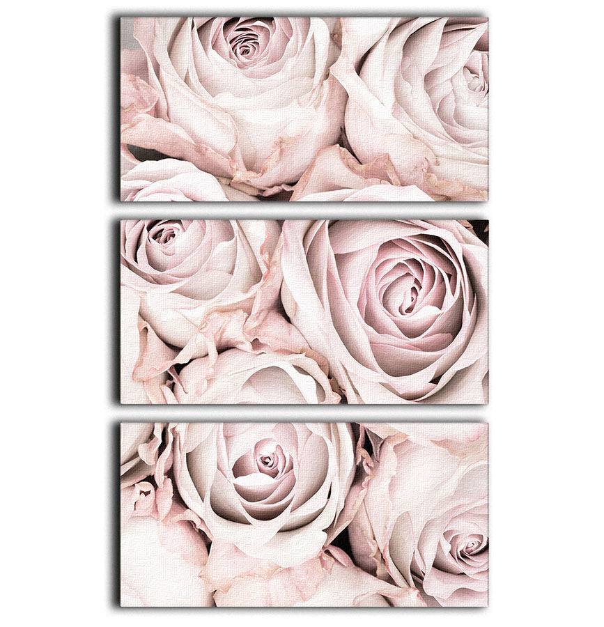 Pink Roses No 01 3 Split Panel Canvas Print - Canvas Art Rocks - 1
